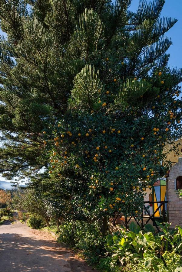 Apartmán Casa Arokaria Pendarianá Exteriér fotografie